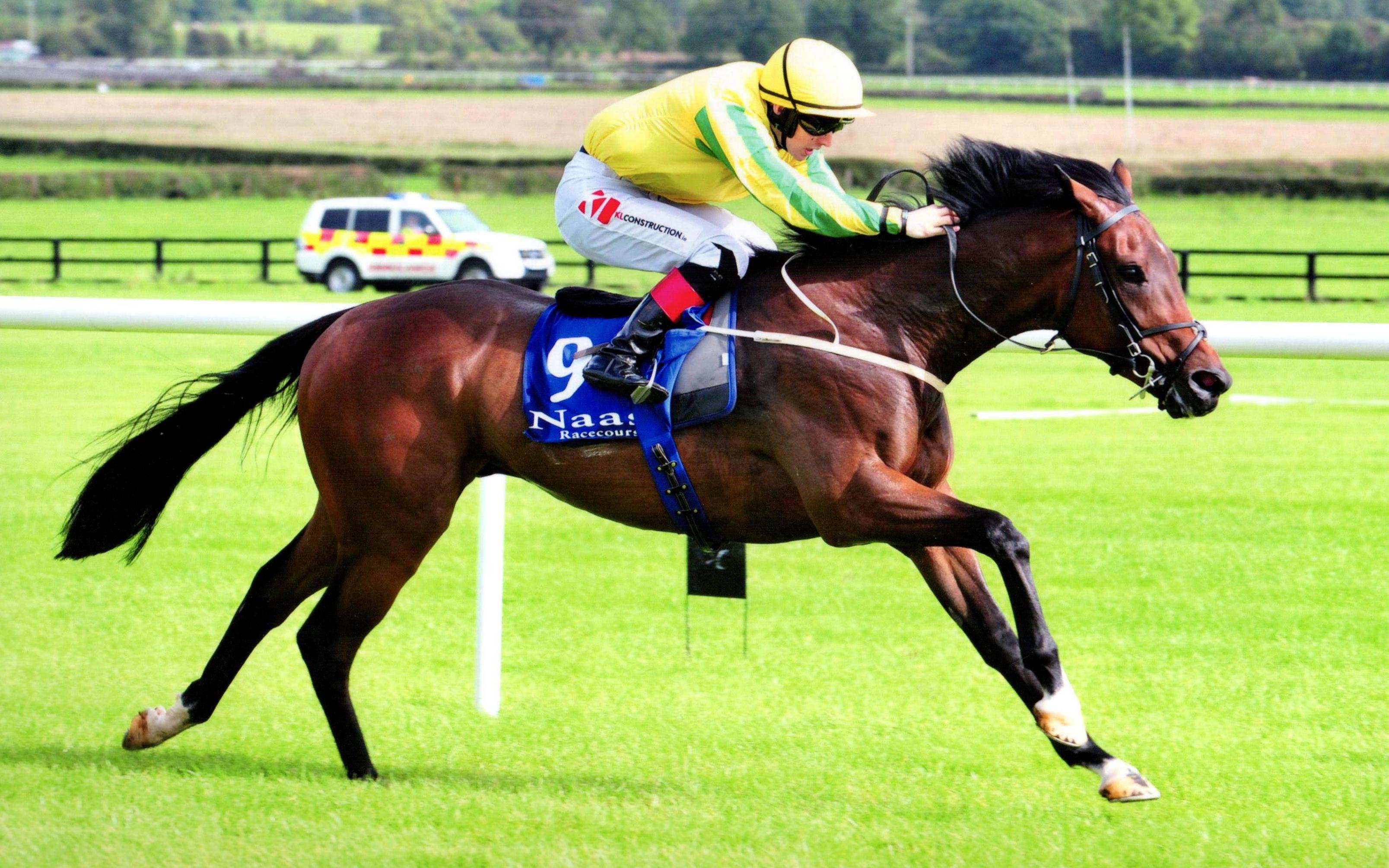 MCMUNIGAL runs out an impressive winner at Naas 24th September 2017